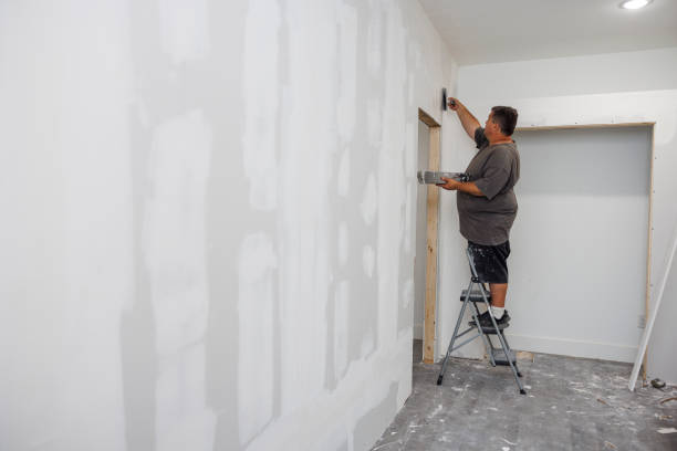 Best Emergency Mold Remediation  in Valencia West, AZ
