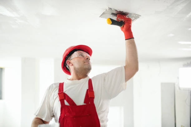 Best Mold Documentation for Insurance Claims  in Valencia West, AZ