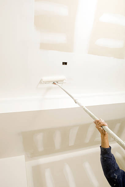 Best Black Mold Removal  in Valencia West, AZ