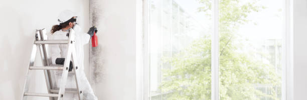 Best HVAC Mold Inspection and Cleaning  in Valencia West, AZ