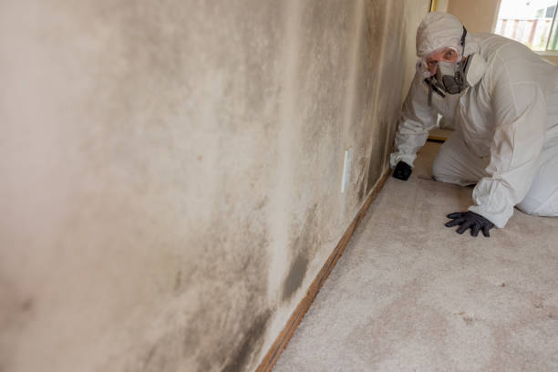 Best Dehumidification Services  in Valencia West, AZ