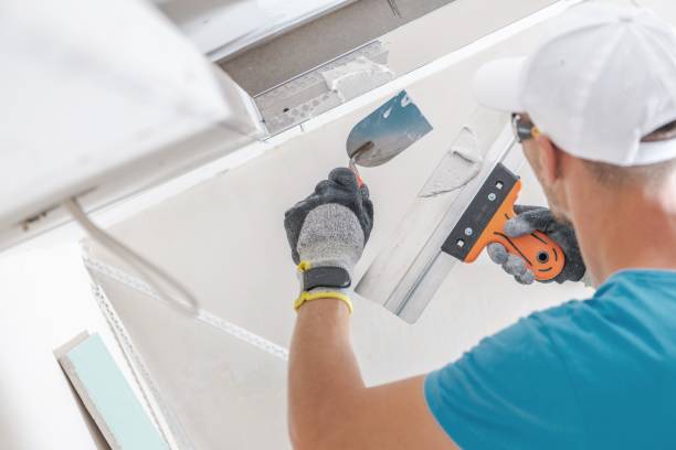 Best Environmental Consulting for Mold Prevention  in Valencia West, AZ